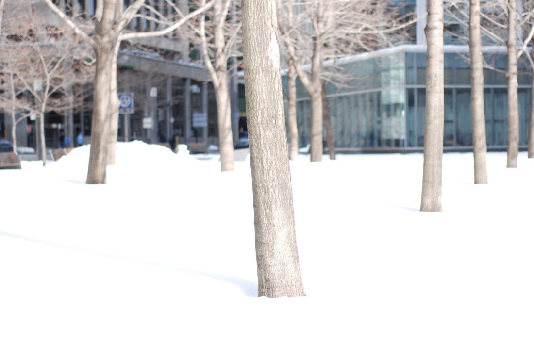 Playing with the 50mm